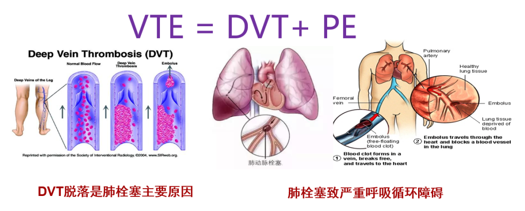 微信圖片_20220322131130.png