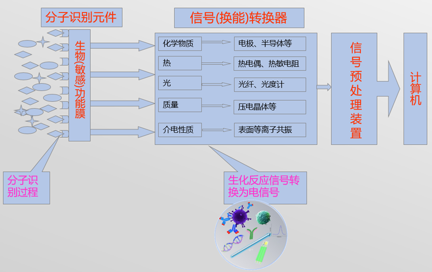 微信圖片_2025-09-15_154542_010.png